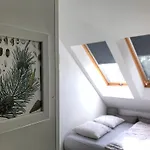 Siedlisko Kierzkowo