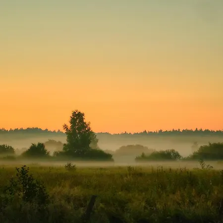 Bed & Breakfast Siedlisko Kierzkowo
