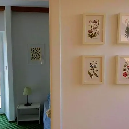 Siedlisko Kierzkowo Bed and Breakfast 3*