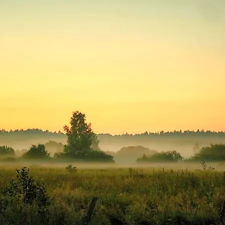 Siedlisko Kierzkowo Nocleg ze śniadaniem Kierzkowo (Wejherowo)