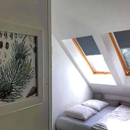 Siedlisko Kierzkowo Bed and Breakfast 3*