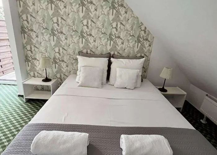 فندق مبيت وإفطار Siedlisko Kierzkowo 3*